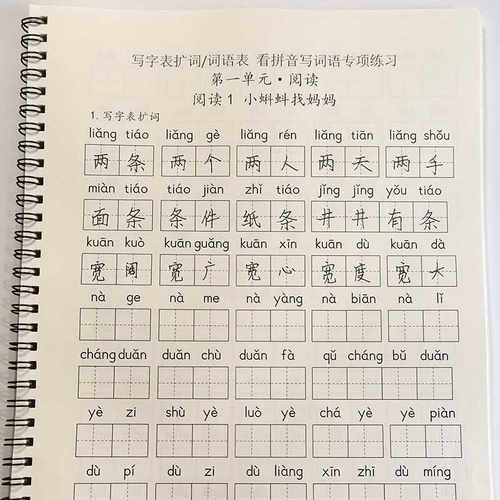 看拼音写词语专项练习小学写字簿