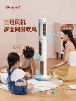 Brandt白朗塔扇无叶风扇家用静音循环扇立式轻音落地台式电风扇