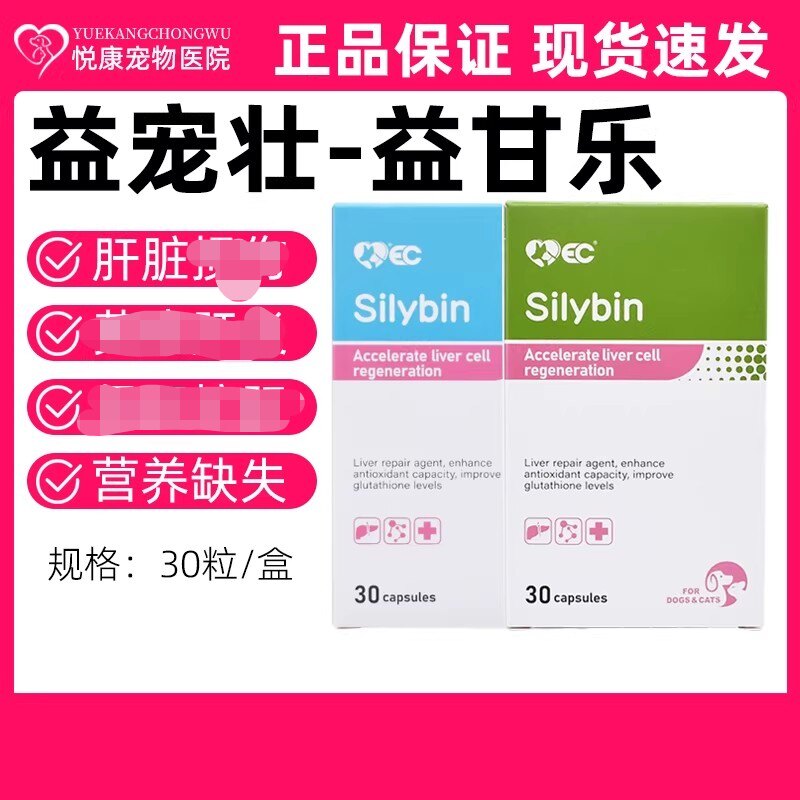 益宠壮益甘乐宠物猫咪狗狗肝指标异常急性慢性肝脏损伤猫传腹图片