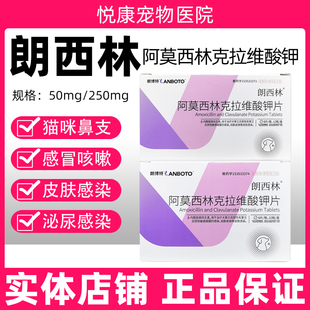 朗博特朗西林阿莫西林克拉维酸钾片宠物猫咪狗狗感冒打喷嚏流鼻涕