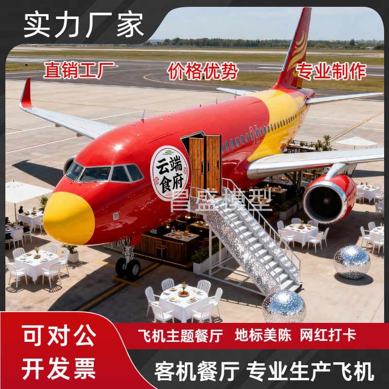大型客机模型仿真民用客机模型定制步行街商场网红客机飞机餐厅