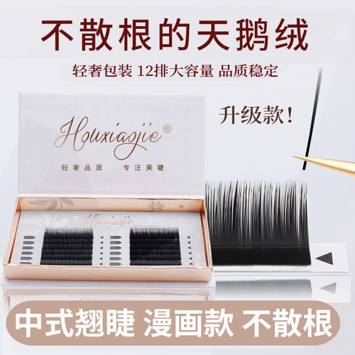 侯小姐不散根天鹅绒单根多取
