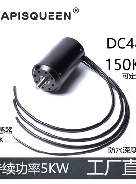 APISQUEEN 66116 无刷防水电机马达5KW 48V 带温度传感器 PTC 1K