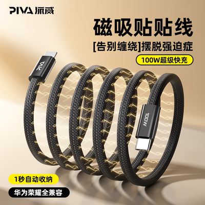 派威pd100w磁吸数据线