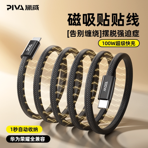派威pd100w磁吸数据线