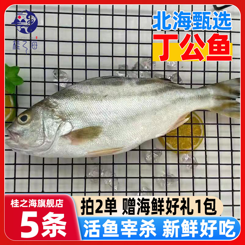 北海丁公鱼新鲜杀好深海鱼去鳞鳃去内脏冰鲜免处理特大三线海鲈鱼,水产肉类/新鲜蔬果/熟食,鲈鱼,淘宝优惠券,粉丝福利购,淘宝优惠卷