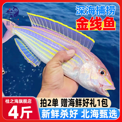 北海厂海直销 大号金线鱼免清理