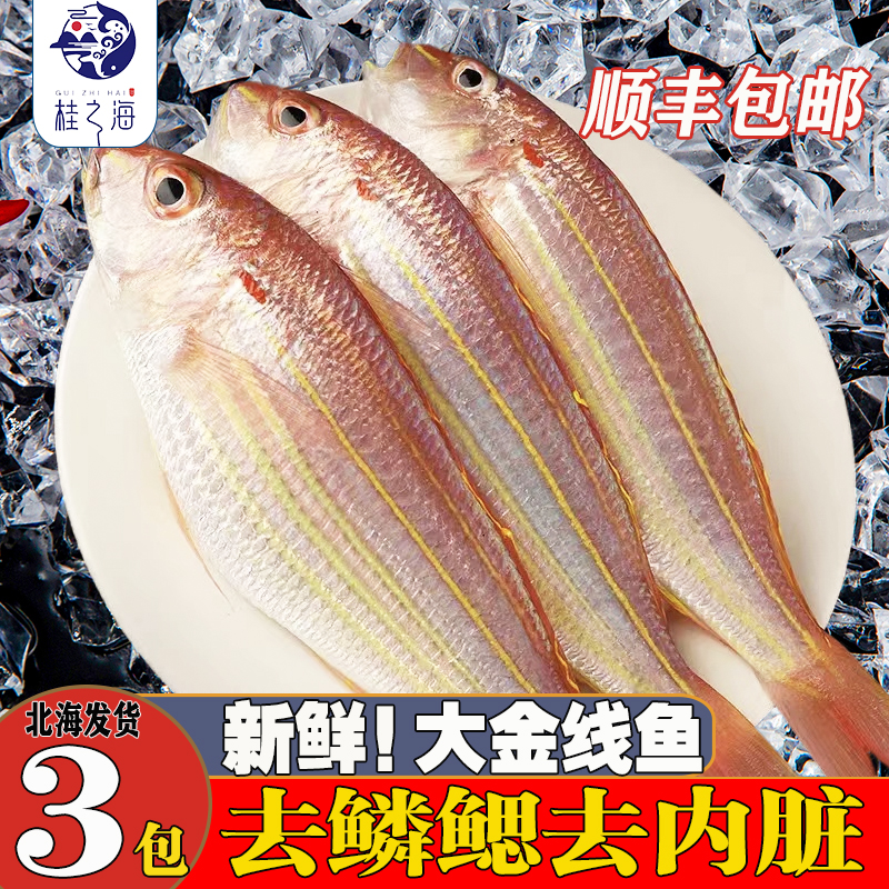北海大金线鱼新鲜冷冻深海鱼鲜活去鳞去内脏冰鲜金丝鱼海鲜刀鲤鱼