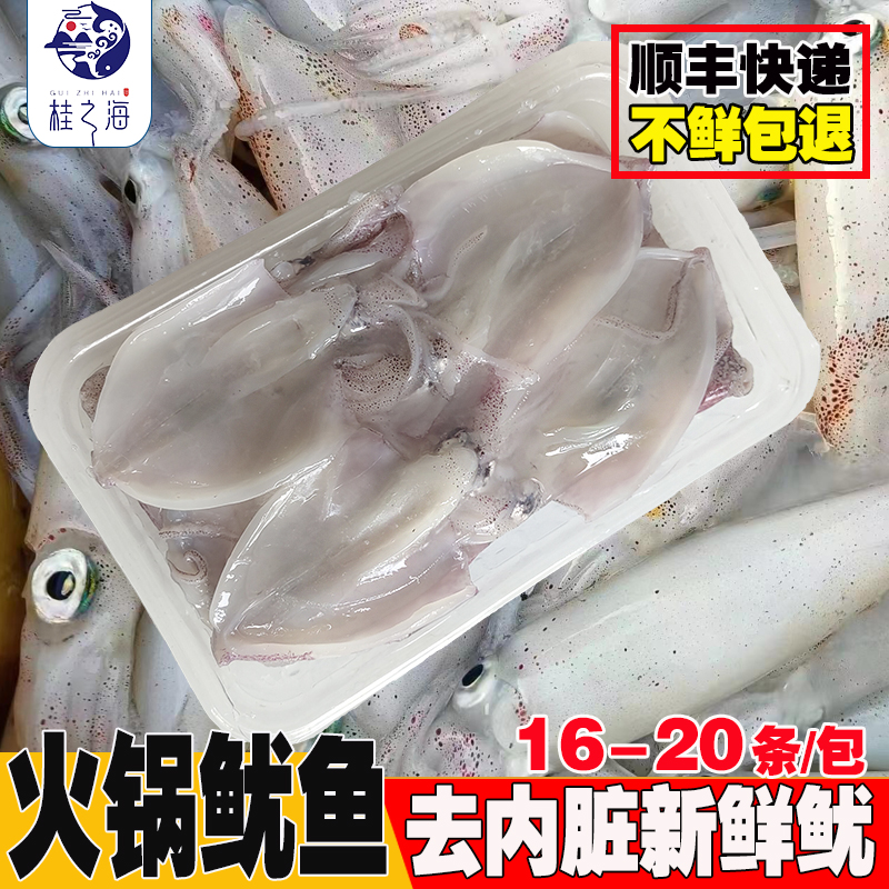 北海鱿鱼活冻鲜冻海鲜大笔管鱼芥末白灼火锅新鲜冷冻海兔火箭尤鱼