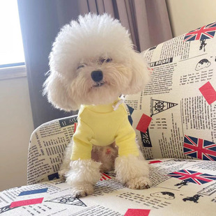 秋冬装宠物衣服泰迪比熊羊毛拉加花朵打底衫全棉猫衣服