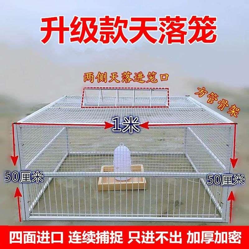 捕鸽神器抓鸽子笼全自动只进不出天落笼自动跳门撞门笼鸽子用具