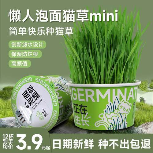 懒人泡面猫草mini创新滤水设计猫草水培杯化毛草自种猫草盆栽