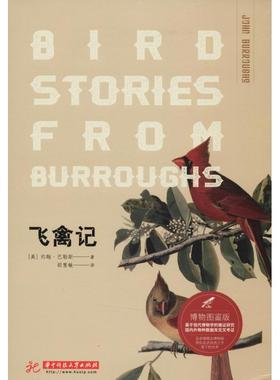 正版图书 飞禽记 博物图鉴版 [美]约翰·巴勒斯 华中科技大学出版社 9787568040044