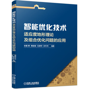 适应度地形理论及组合优化问题 optimi combinatorial landscape 图书 智能优化技术 the 应用 正版 theory ppicton fitness