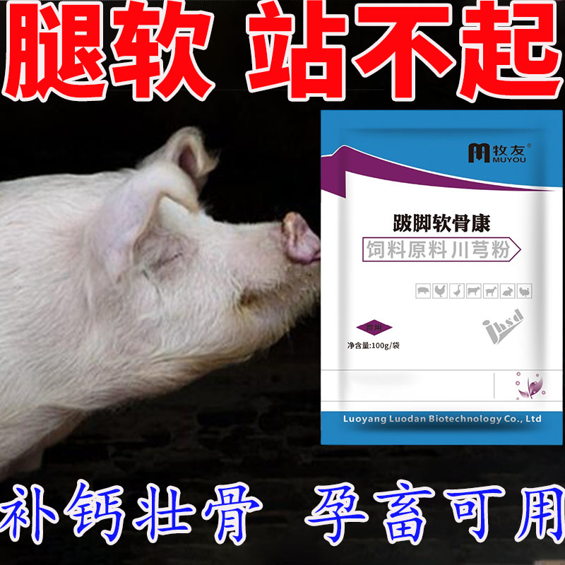 母猪补钙高钙关节痛链球菌专用