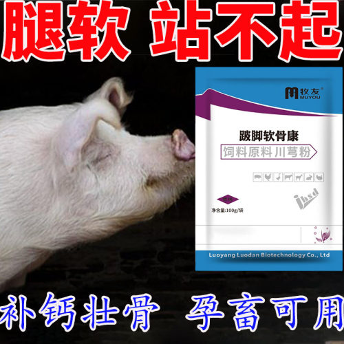 母猪补钙高钙关节痛链球菌专用