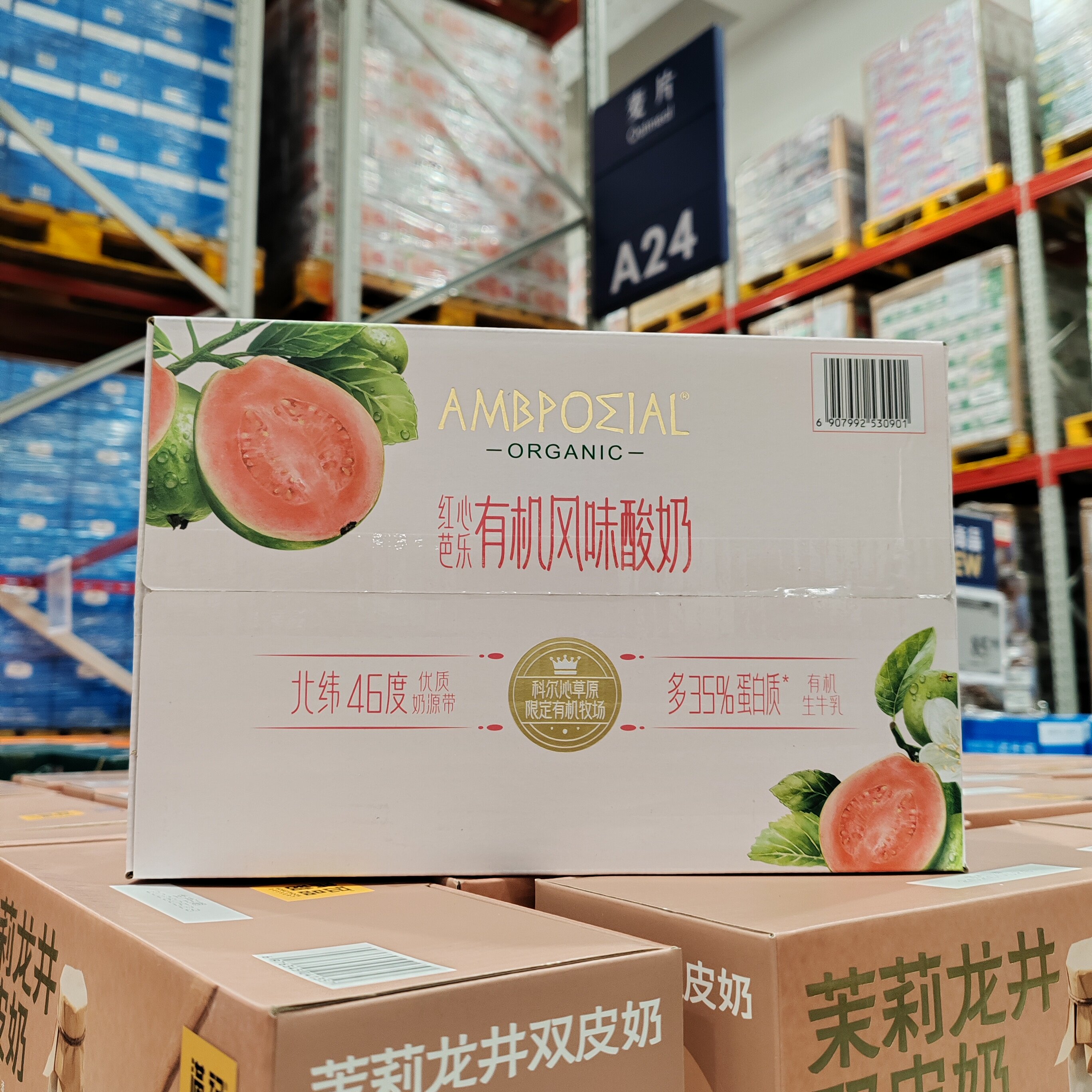 红心芭乐有机风味酸奶150g*24瓶