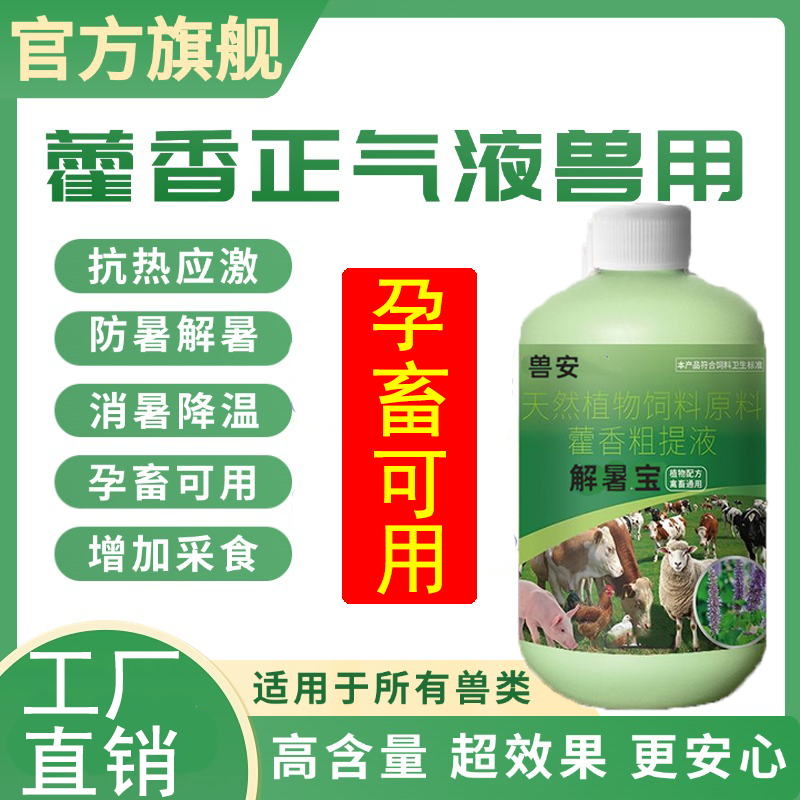 兽安藿香正气水兽用藿香正气液猪牛羊鸡鸭鹅抗应激降温解暑口服液