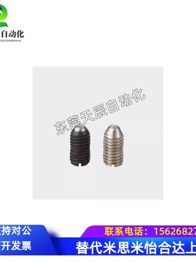 一字槽球头柱塞C-BPES/BPEU3/4/5/6/8/10/12/16