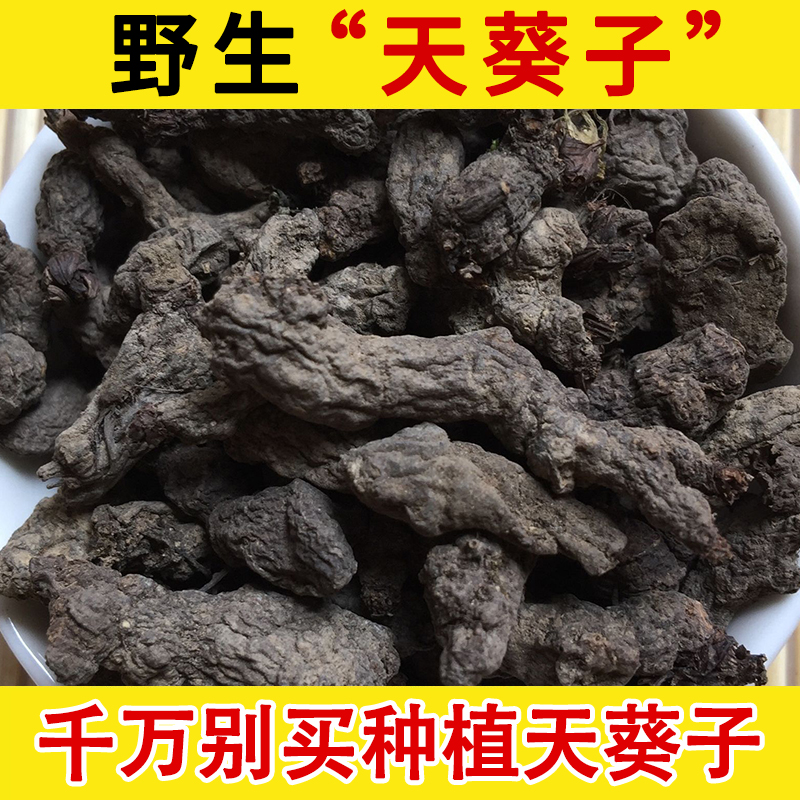 野天葵子野生中药材 紫背天葵籽 千年老鼠屎金耗子屎天葵根中药材