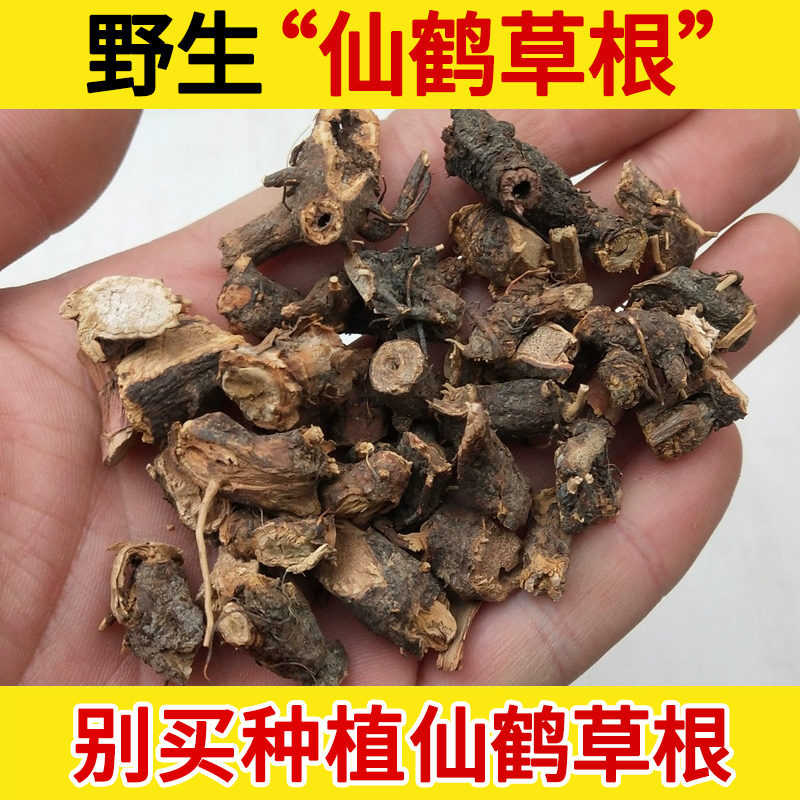 深山野生仙鹤草根中药材500g龙牙草根 狼牙草根图片