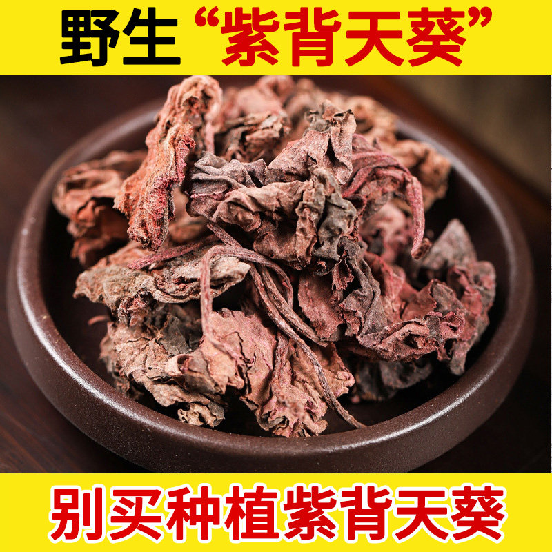 深山野生紫背天葵中药材500g克红天葵子红水葵散血子干货