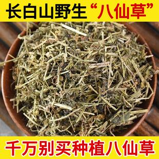 长白山野生八仙草中药材500g猪殃殃 猪秧秧 八仙草 锯子草
