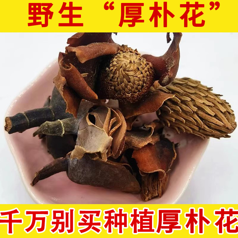 厚朴花中药材 厚扑花 川朴花 调羹花川 厚朴花可打粉图片