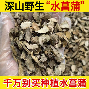 深山野生中药材水菖蒲500g 泥昌 水昌 水宿 藏菖蒲 昌蒲=