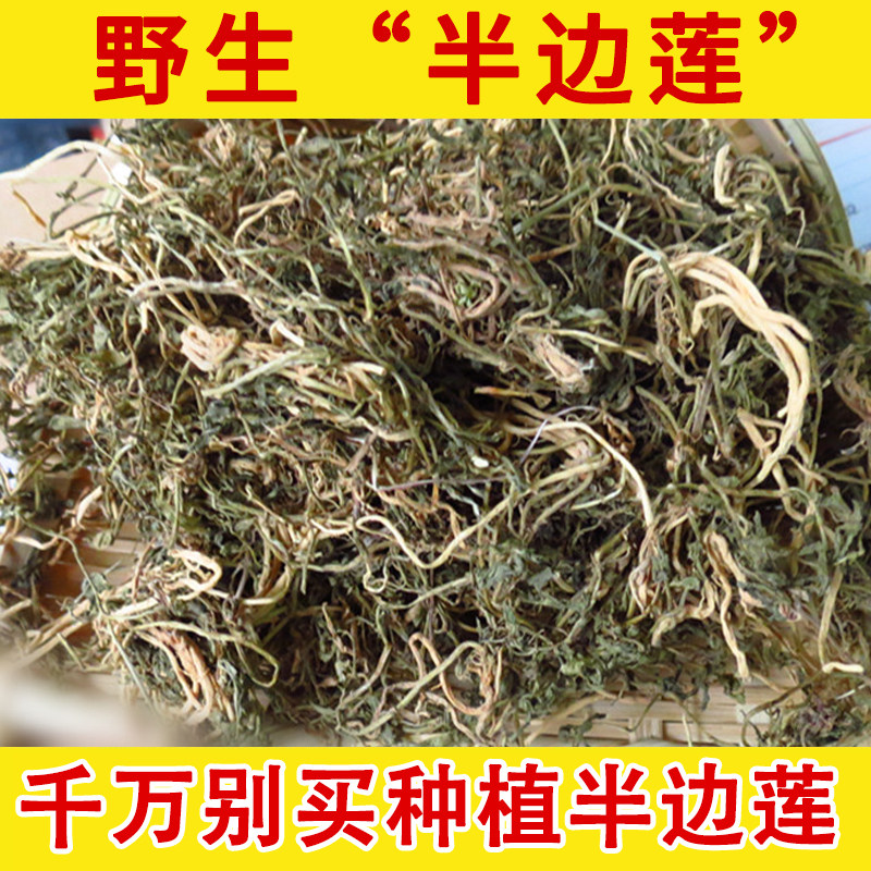 半边莲草药半边莲野生中药材新鲜半边莲干货半边花细米草500g