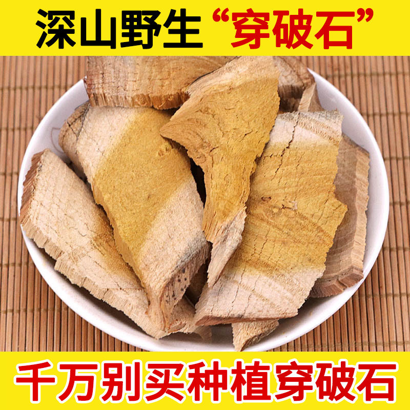 深山野生穿破石中药材500g 川破石 柘树根地棉根 柘根 柘木根