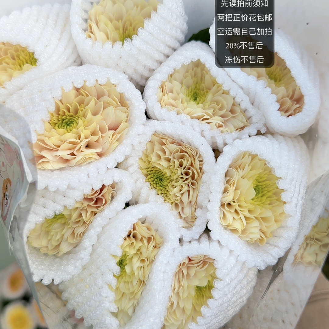 感谢基地  奶茶琉璃小菊  两链接包邮,鲜花速递/花卉仿真/绿植园艺,鲜花速递(同城),淘宝优惠券,粉丝福利购,淘宝优惠卷