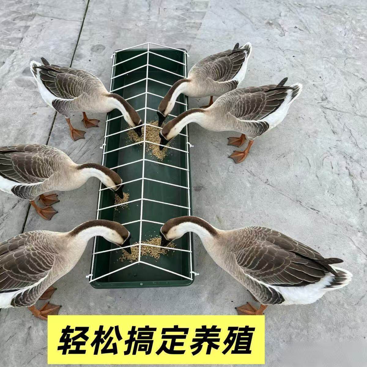 特大号喂鸡食槽大全喂鸡长方形食槽新款养鸡喂食家用神器料槽打不