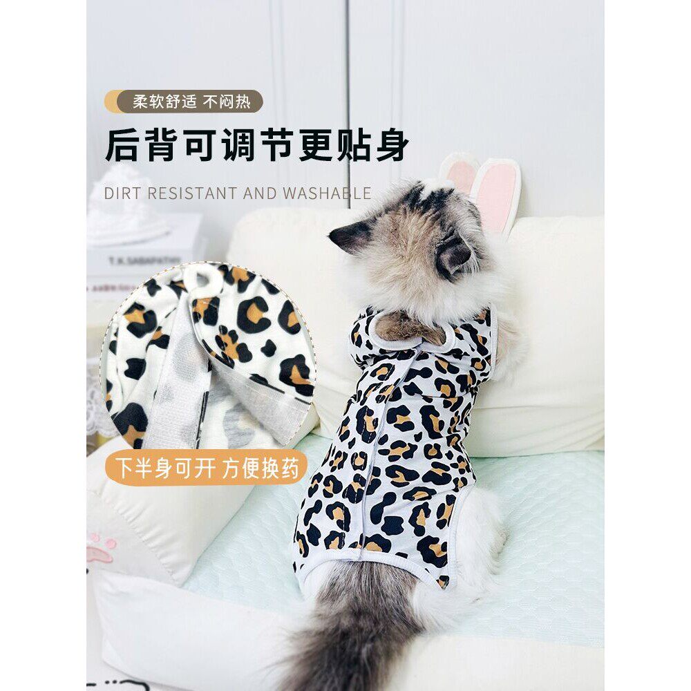 母猫绝育术后服猫咪绝育服母猫手术服衣服透气戒奶服断奶服公猫宠