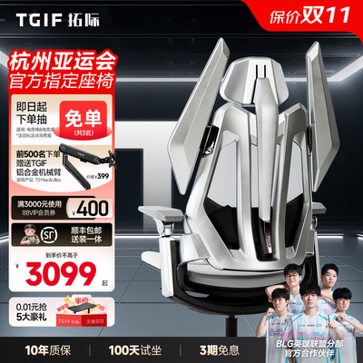 TGIFT0人体工学电竞电脑椅钛空银