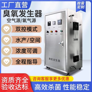 氧气源臭氧发生器空气源内外置式水箱自洁消毒机水处理工业食品厂