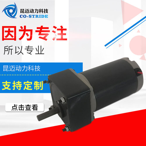 60DSJ24-15K直流有刷电机