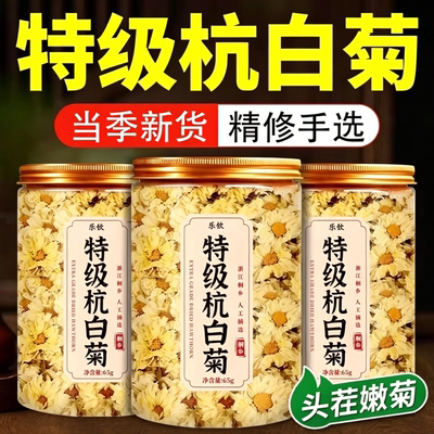 特级杭白菊官方正品胎菊菊花茶当季新货正宗桐乡杭白菊养生花茶