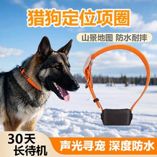 大狗防水GPS宠物猎犬定位器实景卫星北斗定位项圈防丢追踪长续航