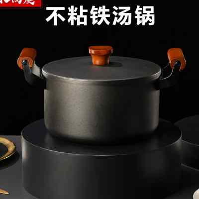 铁汤锅家用炖锅煮锅煲汤熬汤拉面双耳日式不粘锅具燃气电磁炉通用