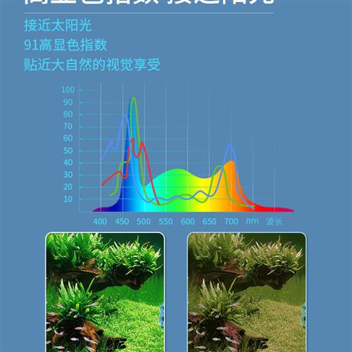 鱼缸光照出苔爆藻澡水藻灯植物生长雨林微景观全光谱仿太阳补光灯