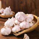 农家自种大蒜头5斤新干蒜超大果0.5斤起紫白皮蒜瓣大易剥