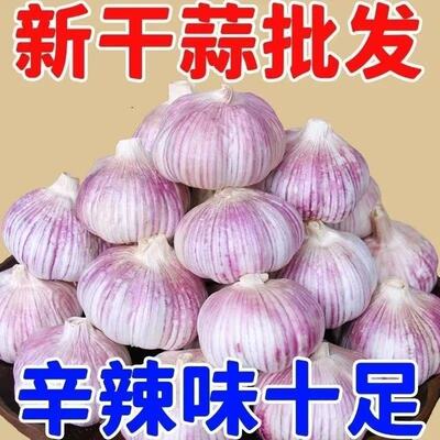 新干蒜紫白皮大蒜头5斤干蒜炒菜凉拌腌蒜多用途蒜0.4斤起包邮