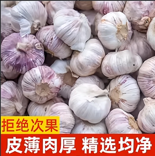 河南紫白皮大蒜头干蒜5斤精选大果易剥蒜味纯正