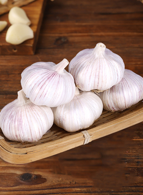 超大果5斤新干蒜大蒜头农家自种紫白皮高干度耐储200克起