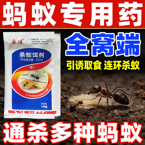 豪情茚虫威杀蚂蚁专用药红蚂蚁