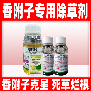 香附子专用除草剂香附雷公头克星敌草快草铵膦高效氟吡甲禾灵正品