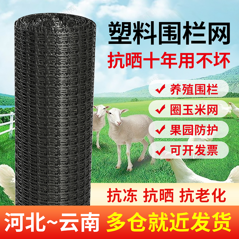 养殖防护家用菜园拦鸡鸭胶网