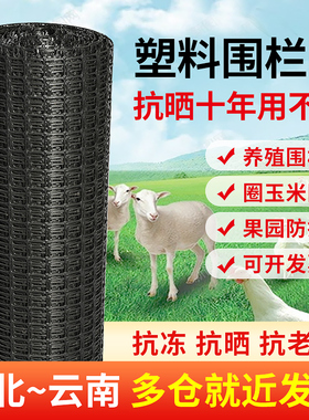 玉米护栏栅栏拦鸡鸭养鸡围栏网塑料网格防护养殖围网拦鱼塘网家用