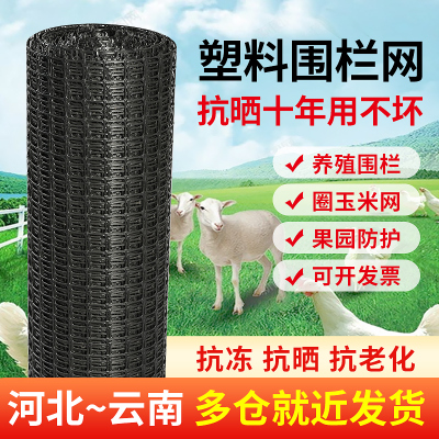 养殖防护家用菜园拦鸡鸭胶网